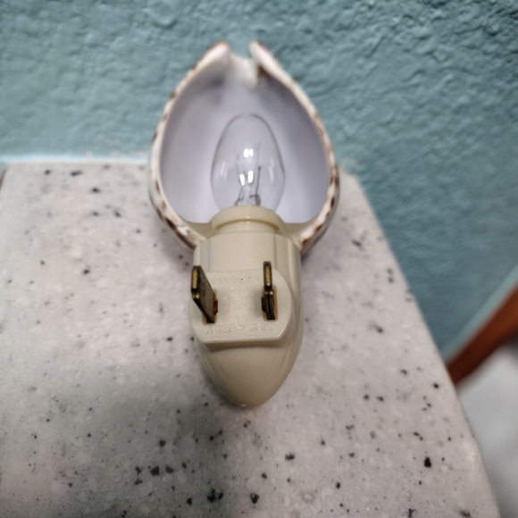 Carved Tiger Cowrie Cactus Night Light - Picture 7 of 9